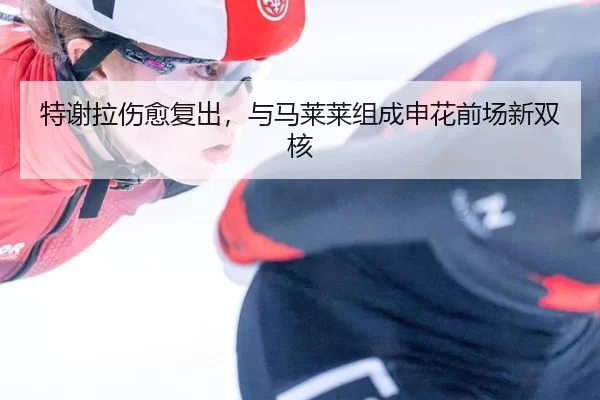 特谢拉伤愈复出，与马莱莱组成申花前场新双核